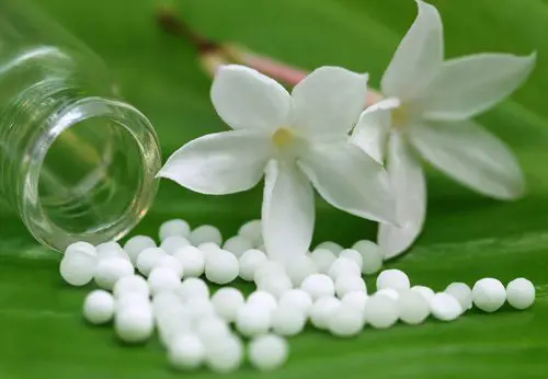 White pellets on green leaf